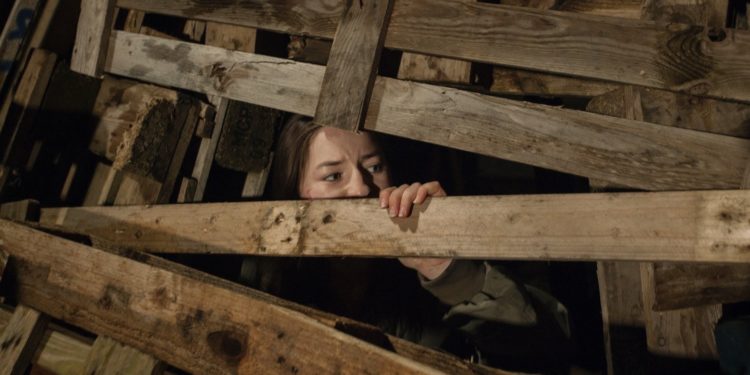 Выпь в зарослях камыша: рецензия на фильм «Проклятие. Ночь страха»